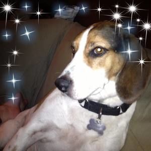 Meet your Posher, Mandy